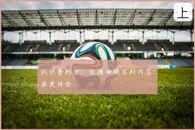 认识普约尔：生涯回顾百科内容：历史评价