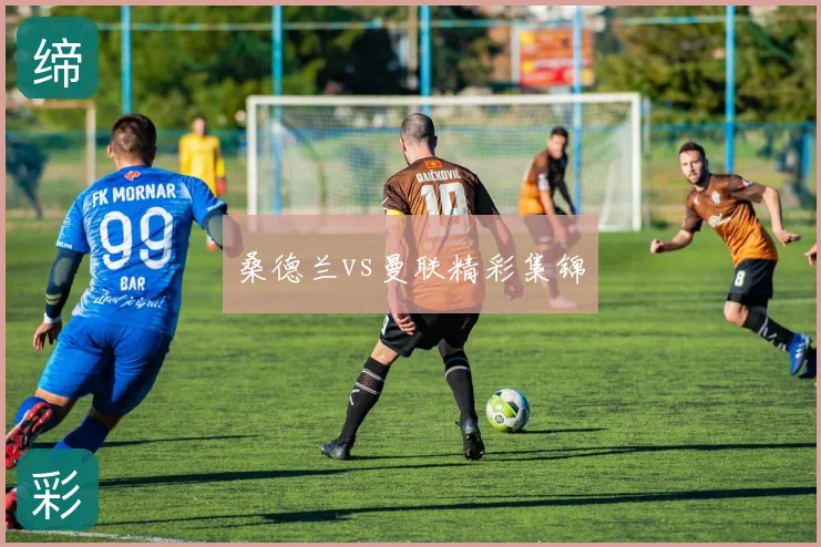 桑德兰vs曼联精彩集锦